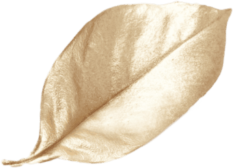 עלים בצבע זהב מבריק